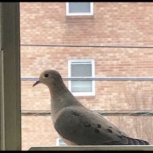 Meet your Posher, Nichole